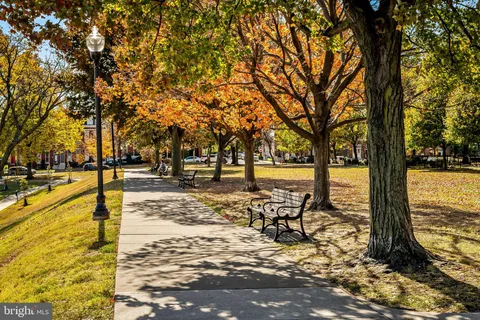 a view of a pathway with a flower garden