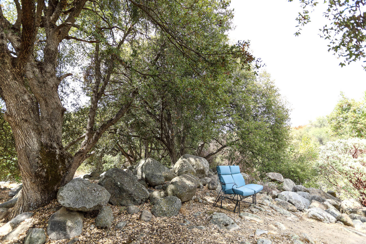 45314 Blue Ridge Drive Springville, CA 93265 - Photo 80 of 111 IMG_4834