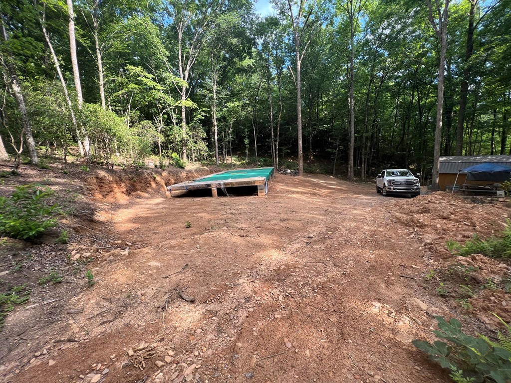 1380 Bluff Road Marble, NC 28905 - Photo 2 of 16