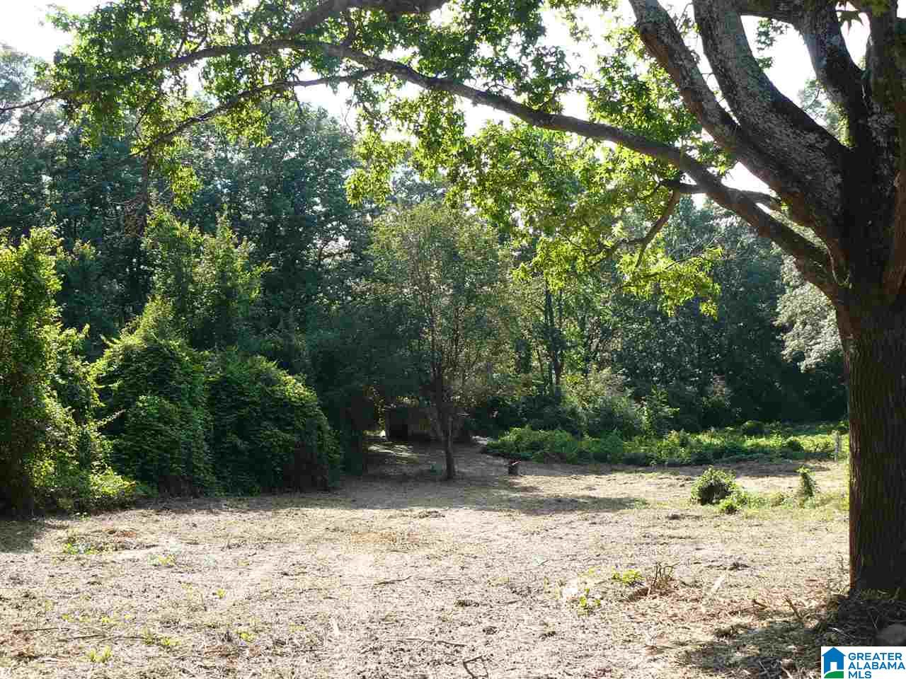 South Shades Crest Road Helena, AL 35022 - Photo 3 of 11