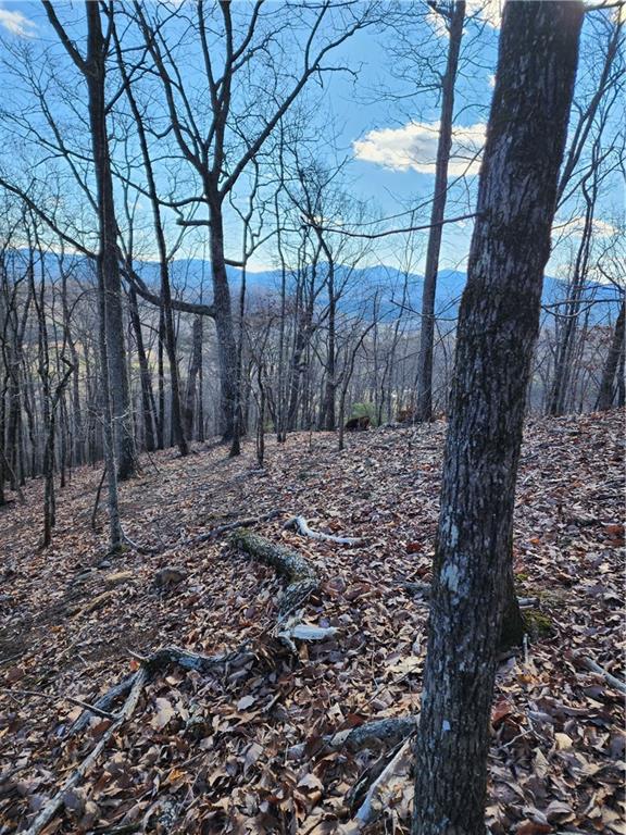 0 Trackrock Gap Road Blairsville, GA 30512 - Photo 4 of 7