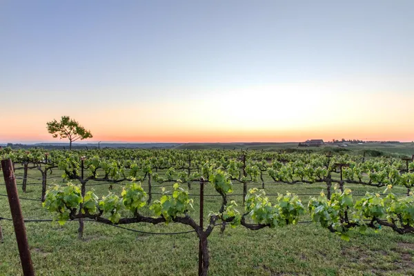 $2,799,000 | 16641 Sonora Road, Oakdale, CA 95361