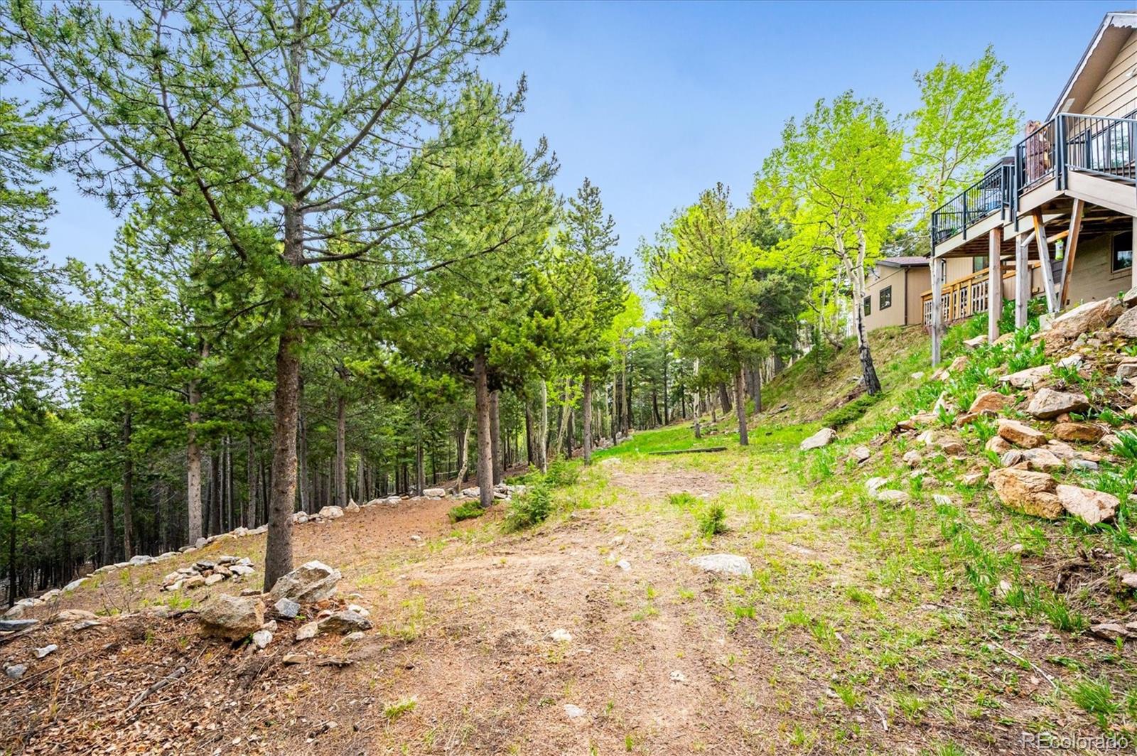 11094 Thomas Drive Conifer, CO 80433 - Photo 38 of 44 a view of a yard with plants and large trees