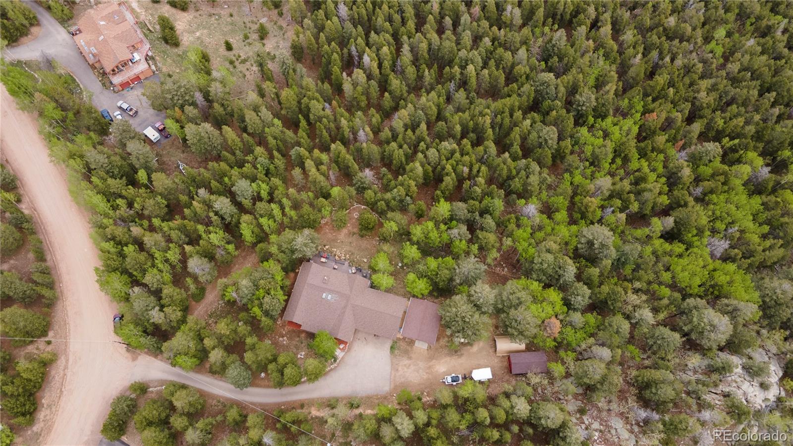 11094 Thomas Drive Conifer, CO 80433 - Photo 43 of 44 a view of a yard