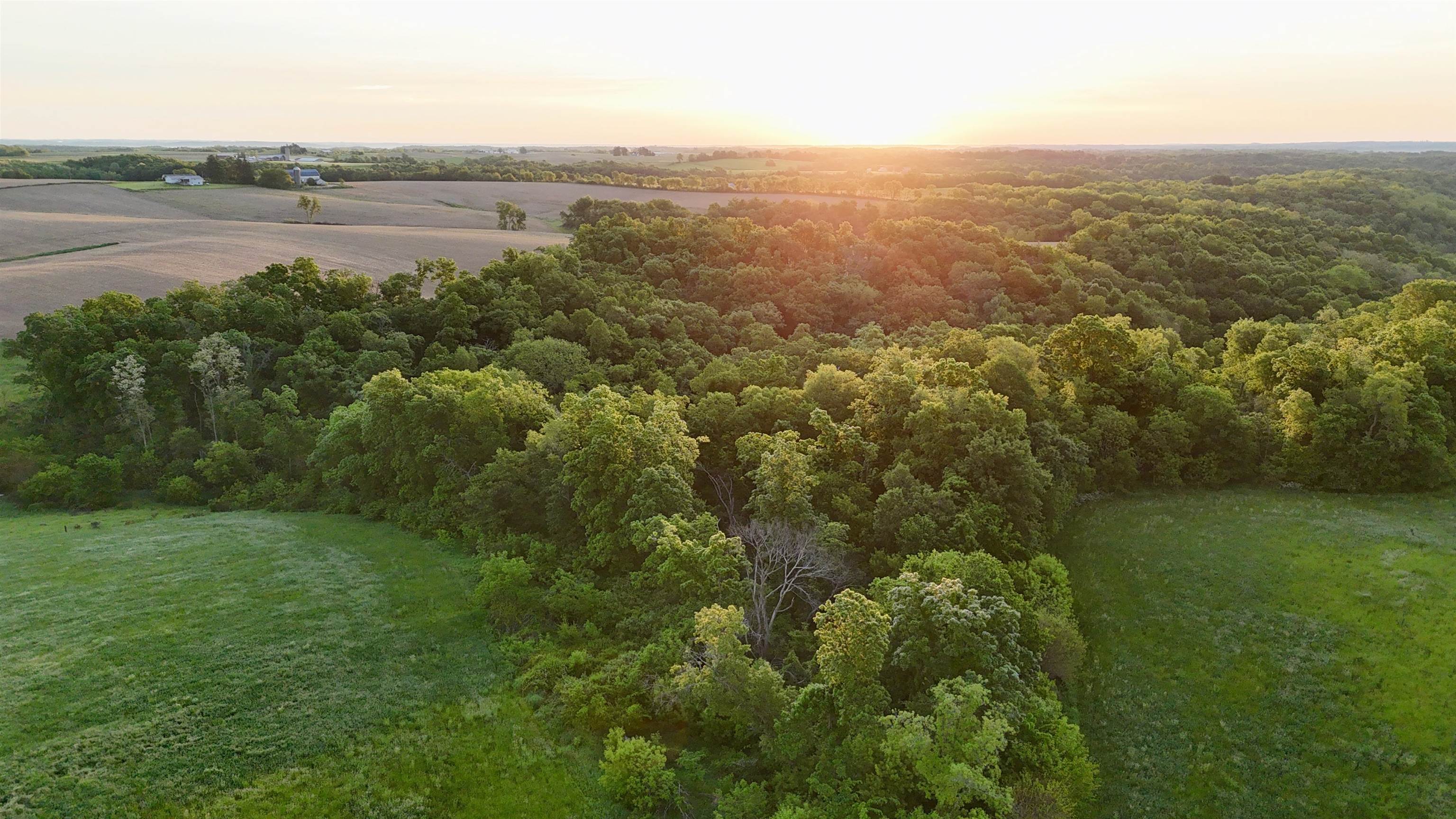 0 County T Boscobel, WI 53805 - Photo 21 of 30
