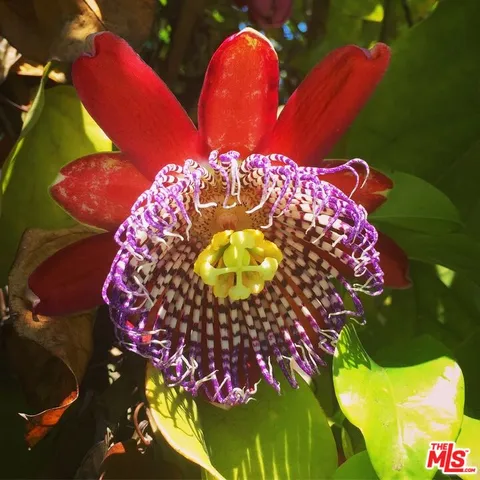 $1,599,000 | 12909 Ida Avenue, Los Angeles, CA 90066