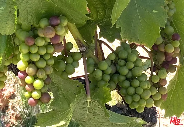 $1,599,000 | 12909 Ida Avenue, Los Angeles, CA 90066