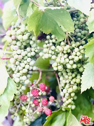 $1,599,000 | 12909 Ida Avenue, Los Angeles, CA 90066