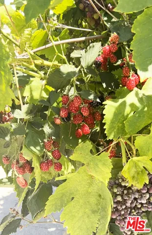 $1,599,000 | 12909 Ida Avenue, Los Angeles, CA 90066