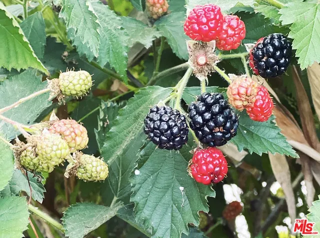 $1,599,000 | 12909 Ida Avenue, Los Angeles, CA 90066