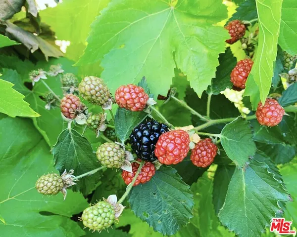 $1,599,000 | 12909 Ida Avenue, Los Angeles, CA 90066