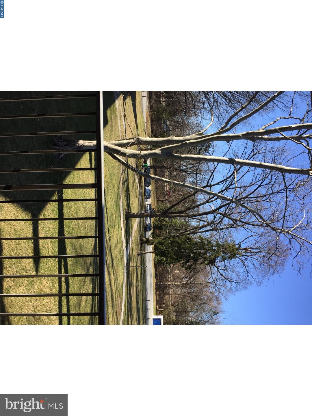 359 Drummers Lane Wayne, PA 19087 - Photo 4 of 11 Patio