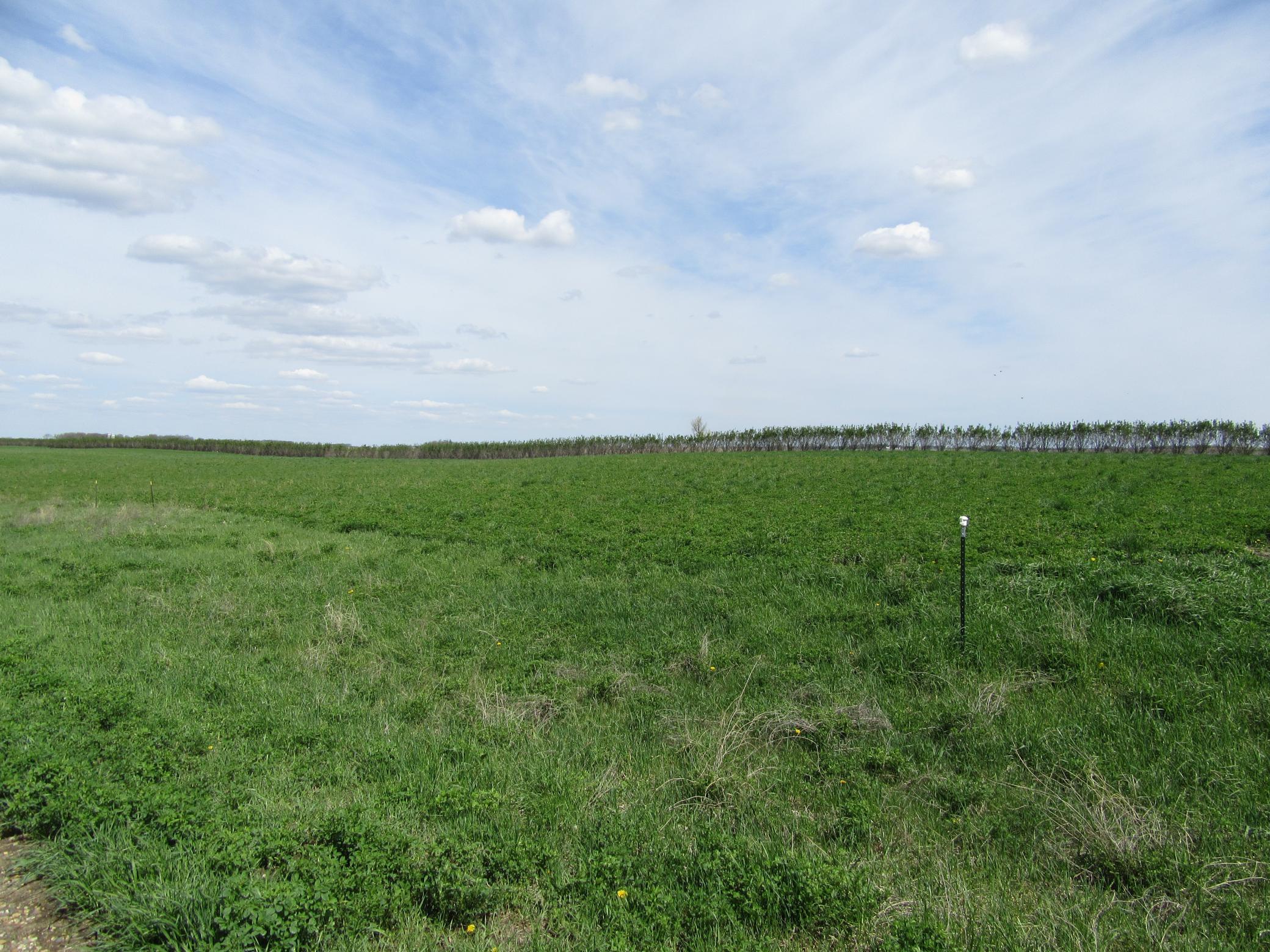 3 Royal Oaks Road Garvin, MN 56132 - Photo 2 of 3