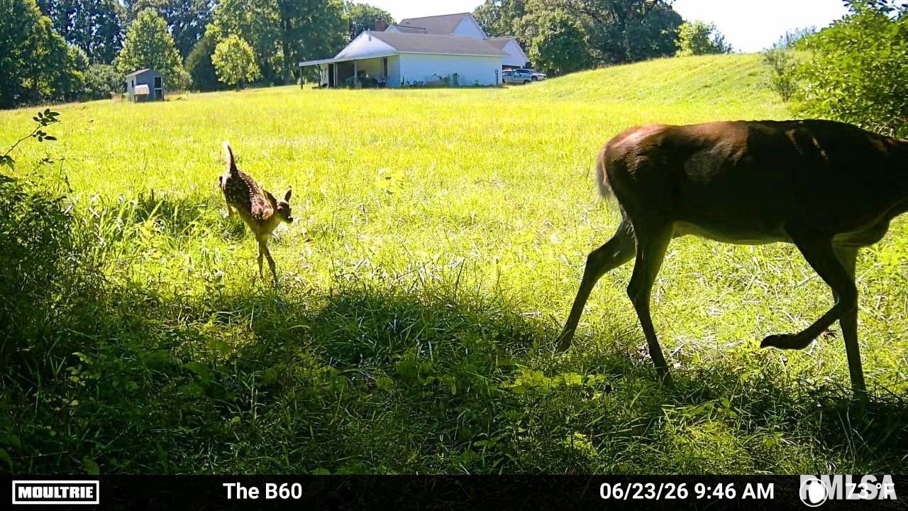 9081 Old State Rte 14 Du Quoin, IL 62832 - Photo 67 of 67