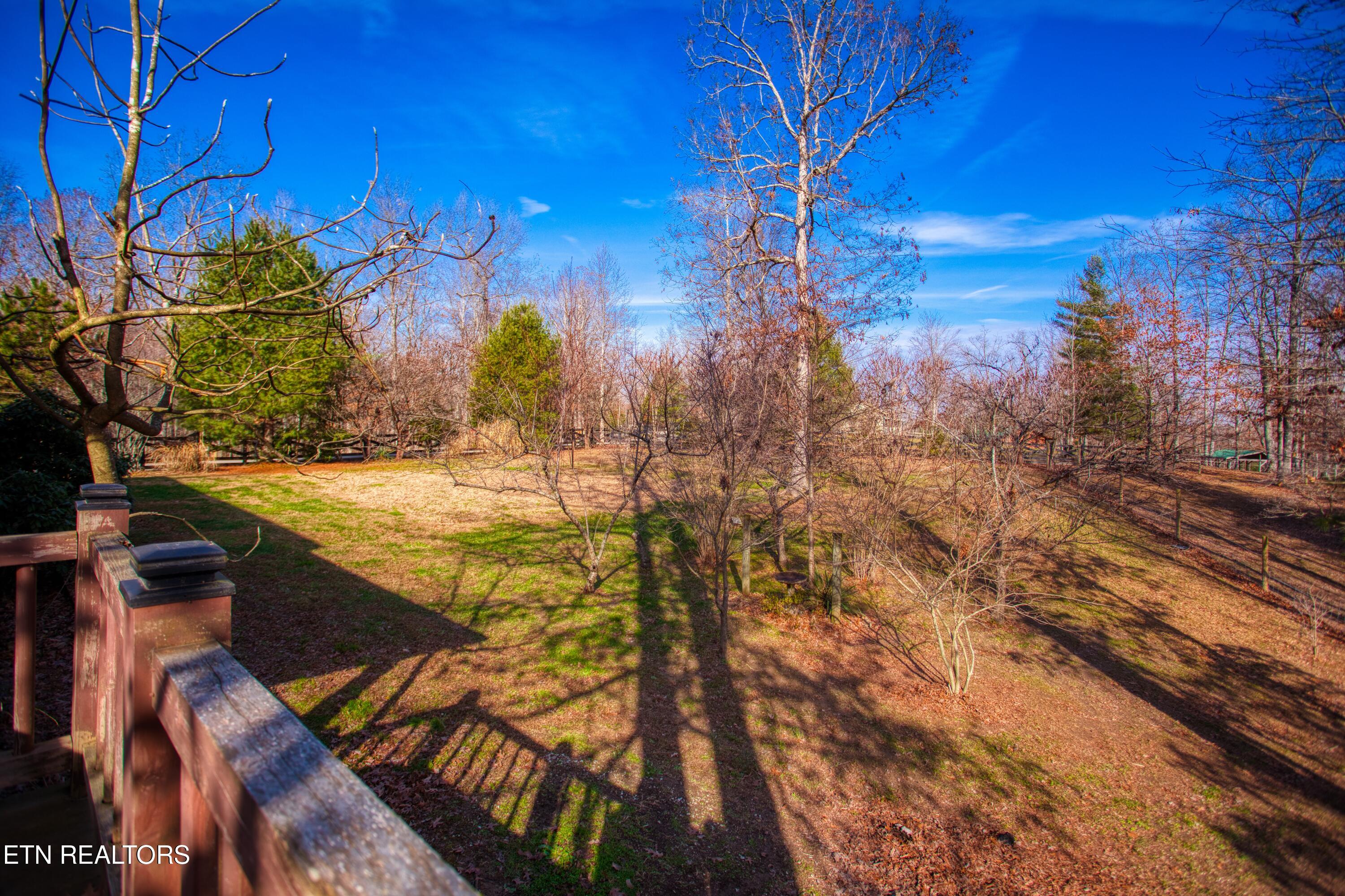 250 Briar Point Road Allardt, TN 38504 - Photo 31 of 59 EK3A6611