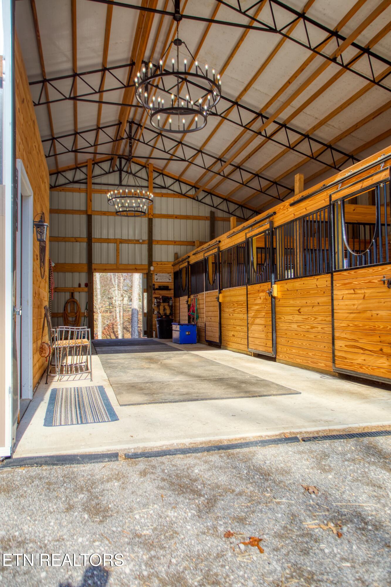 250 Briar Point Road Allardt, TN 38504 - Photo 40 of 59 EK3A6694