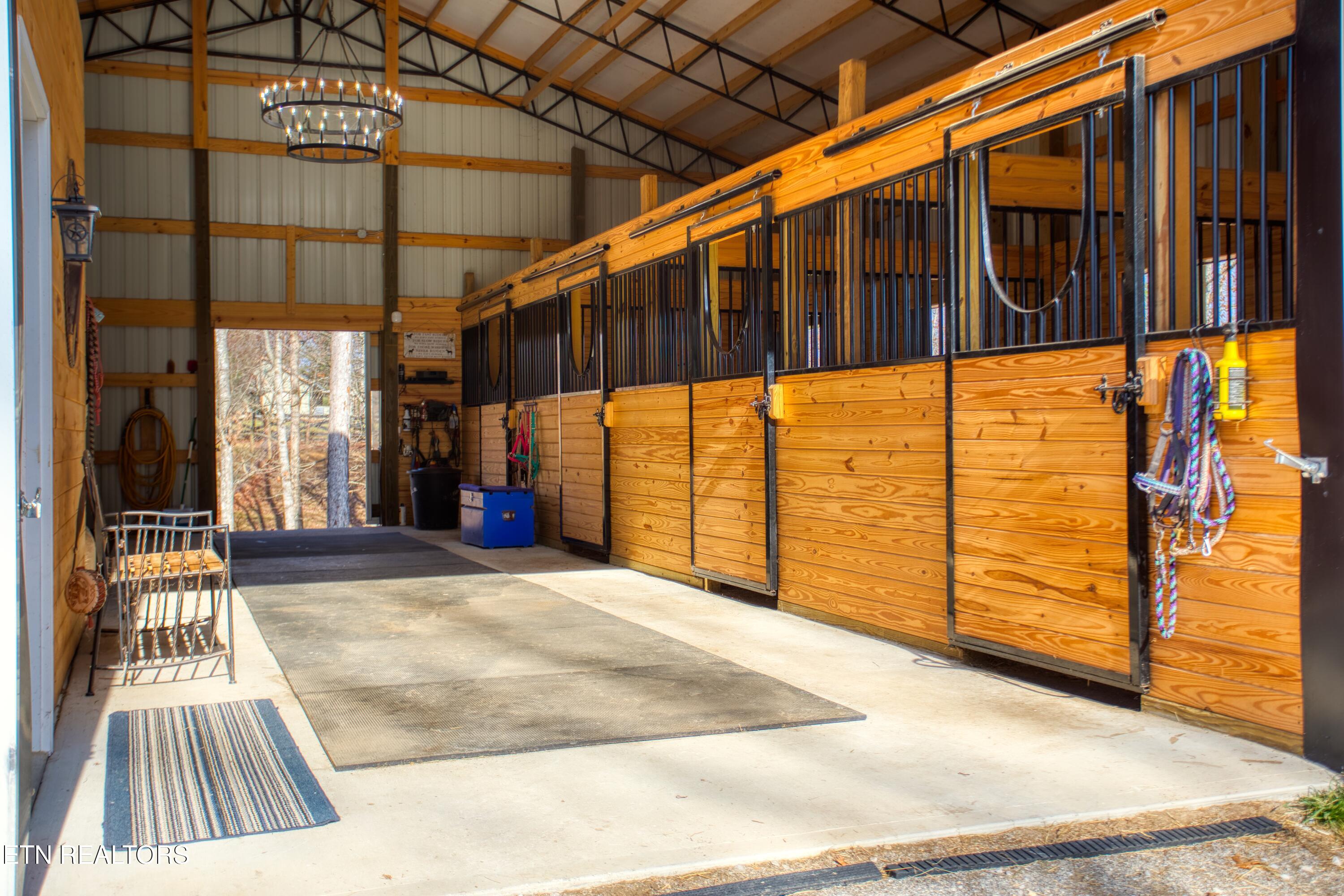 250 Briar Point Road Allardt, TN 38504 - Photo 41 of 59 EK3A6700