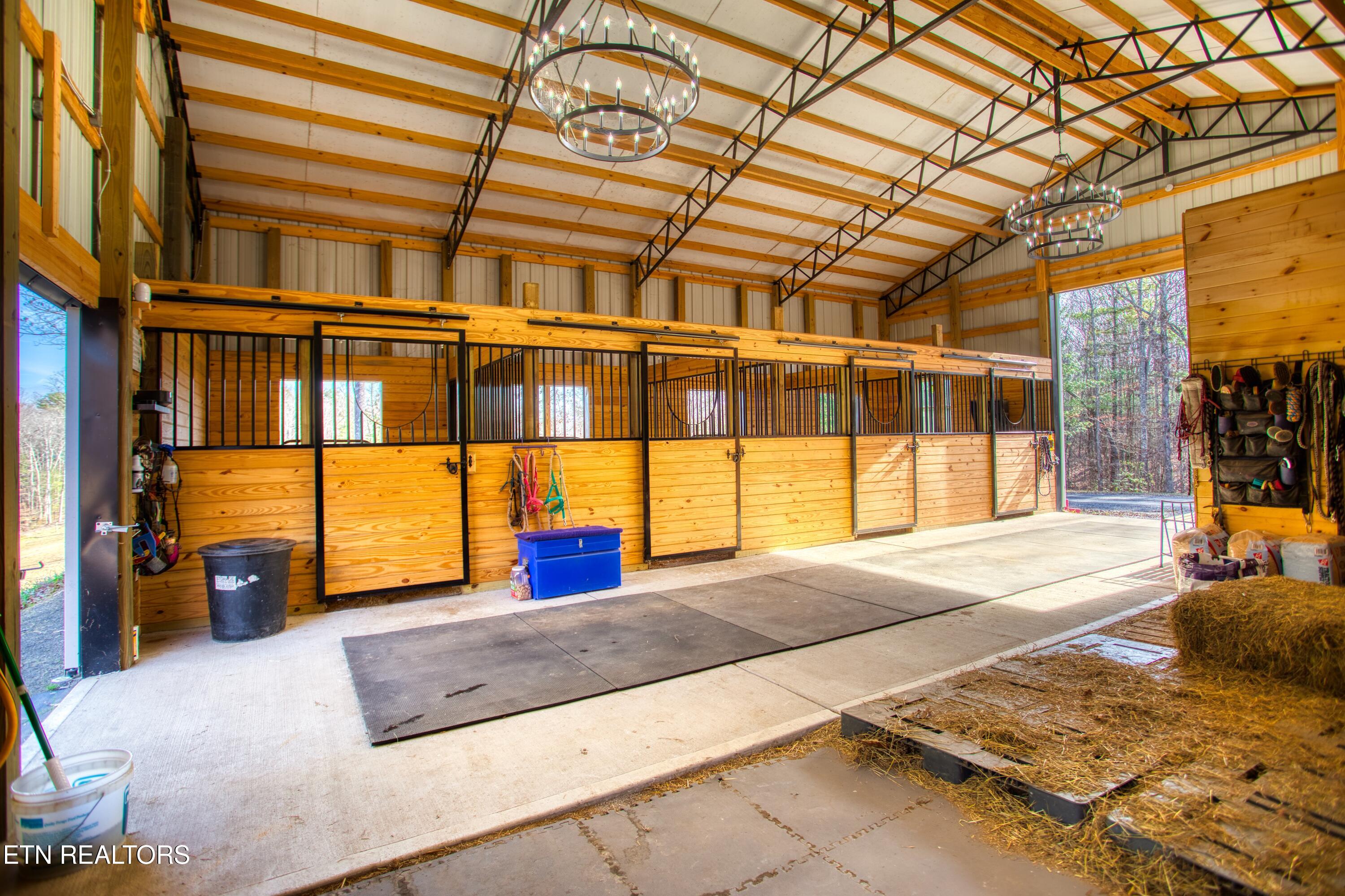 250 Briar Point Road Allardt, TN 38504 - Photo 42 of 59 EK3A6727