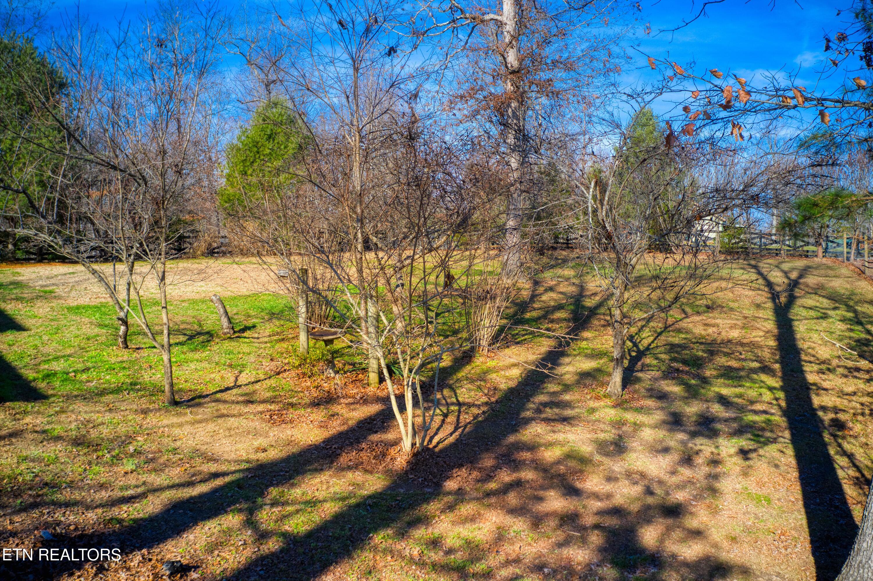 250 Briar Point Road Allardt, TN 38504 - Photo 50 of 59 DJI_0001
