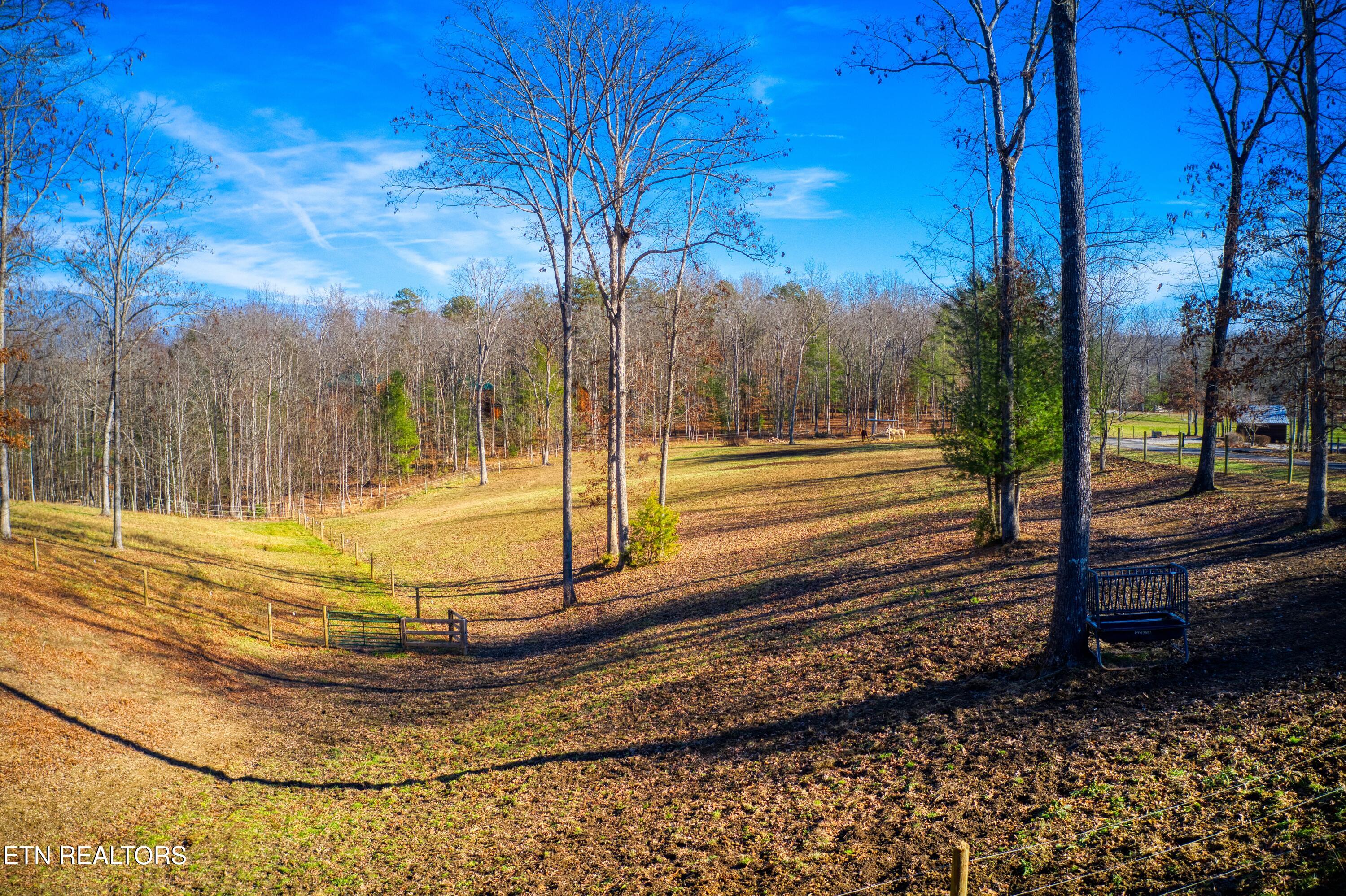 250 Briar Point Road Allardt, TN 38504 - Photo 51 of 59 DJI_0016