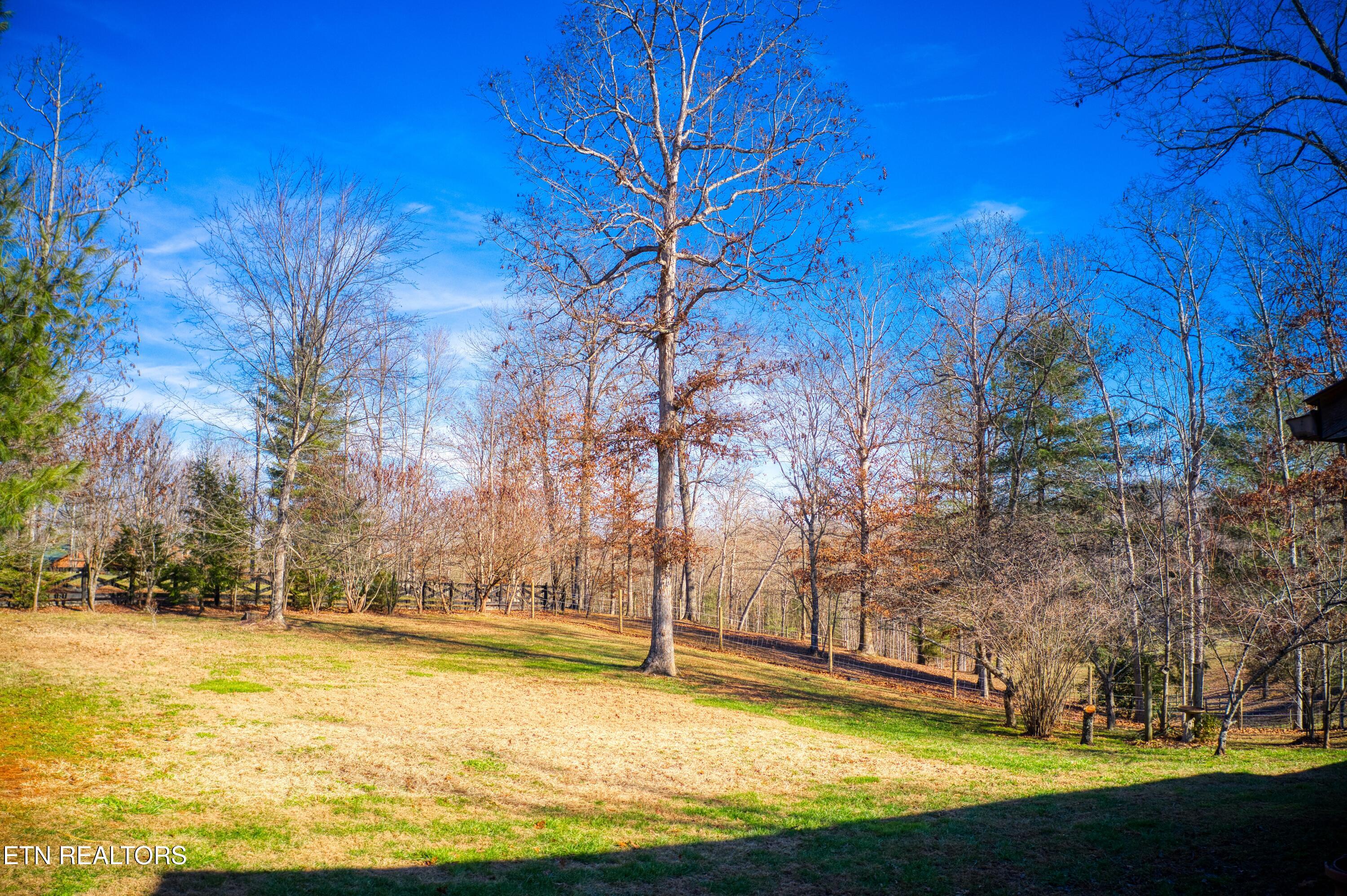 250 Briar Point Road Allardt, TN 38504 - Photo 55 of 59 DJI_0905