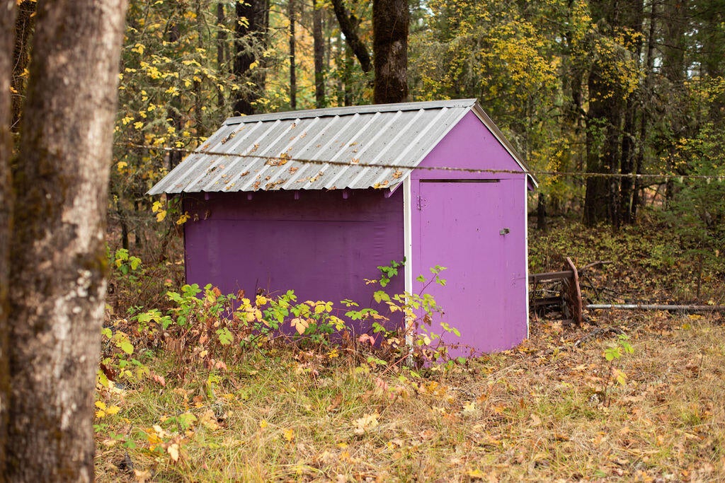 333 Queen Of Bronze Road Cave Junction, OR 97523 - Photo 12 of 22 BrielleLeayDesigns-12