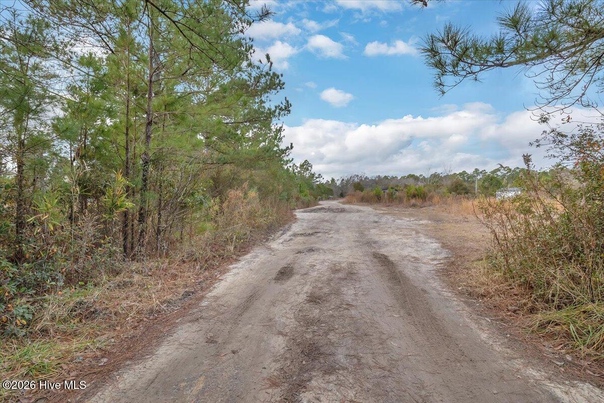 1705 Colon Mintz Road Northeast Leland, NC 28451 - Photo 45 of 45 45-Final 1705 Colon Mintz Rd NE-RJREM-35