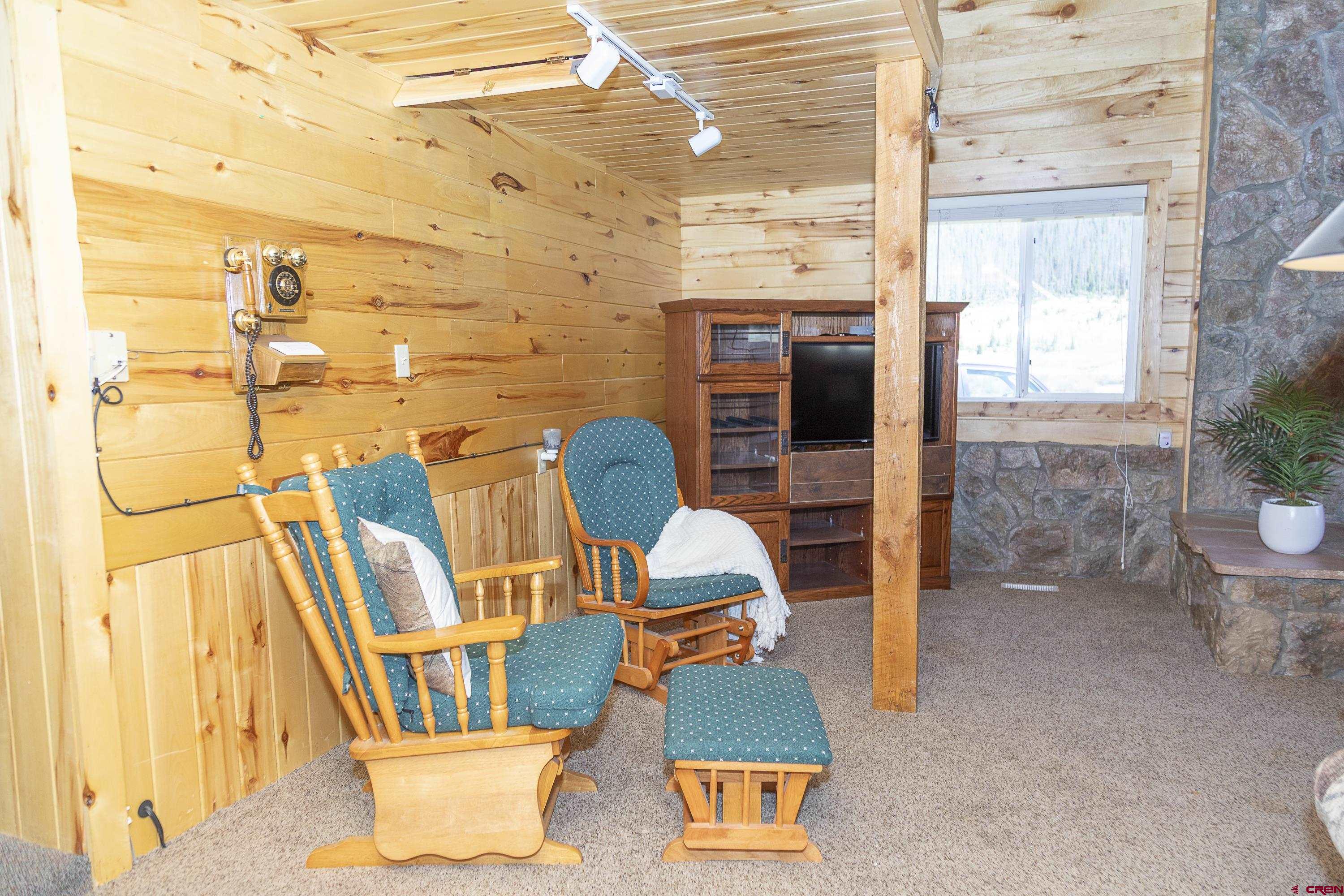 4100 Usfs Road, Unit 460 Creede, CO 81130 - Photo 12 of 28