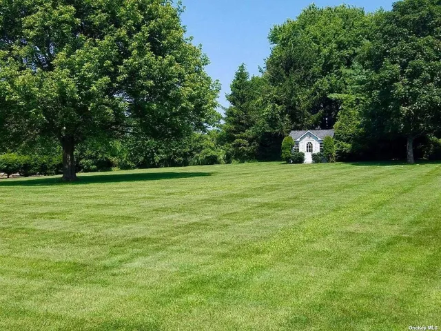 a view of a trees with a big yard