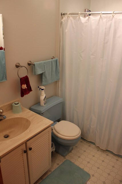 3818 Circle Creek Road Penhook, VA 24137 - Photo 15 of 26 Hall - Full Bath