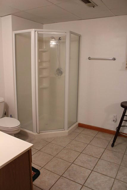 3818 Circle Creek Road Penhook, VA 24137 - Photo 19 of 26 Lower: Master Bath