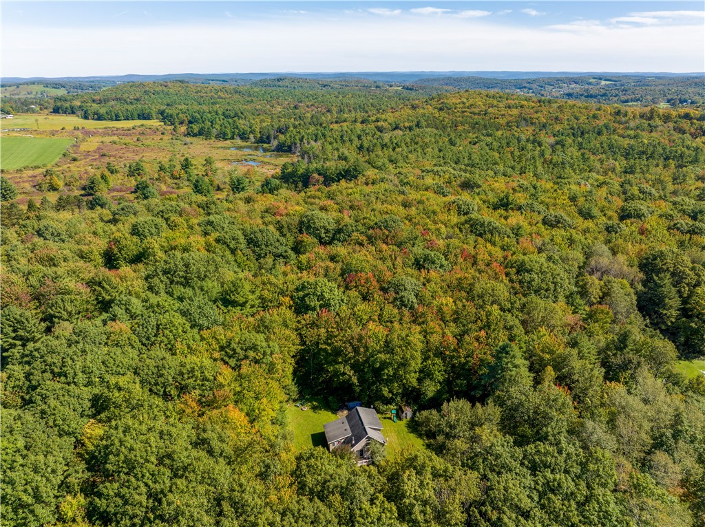 210 Cross Road Guilford, NY 13780 - Photo 2 of 42 Gallery Image 2