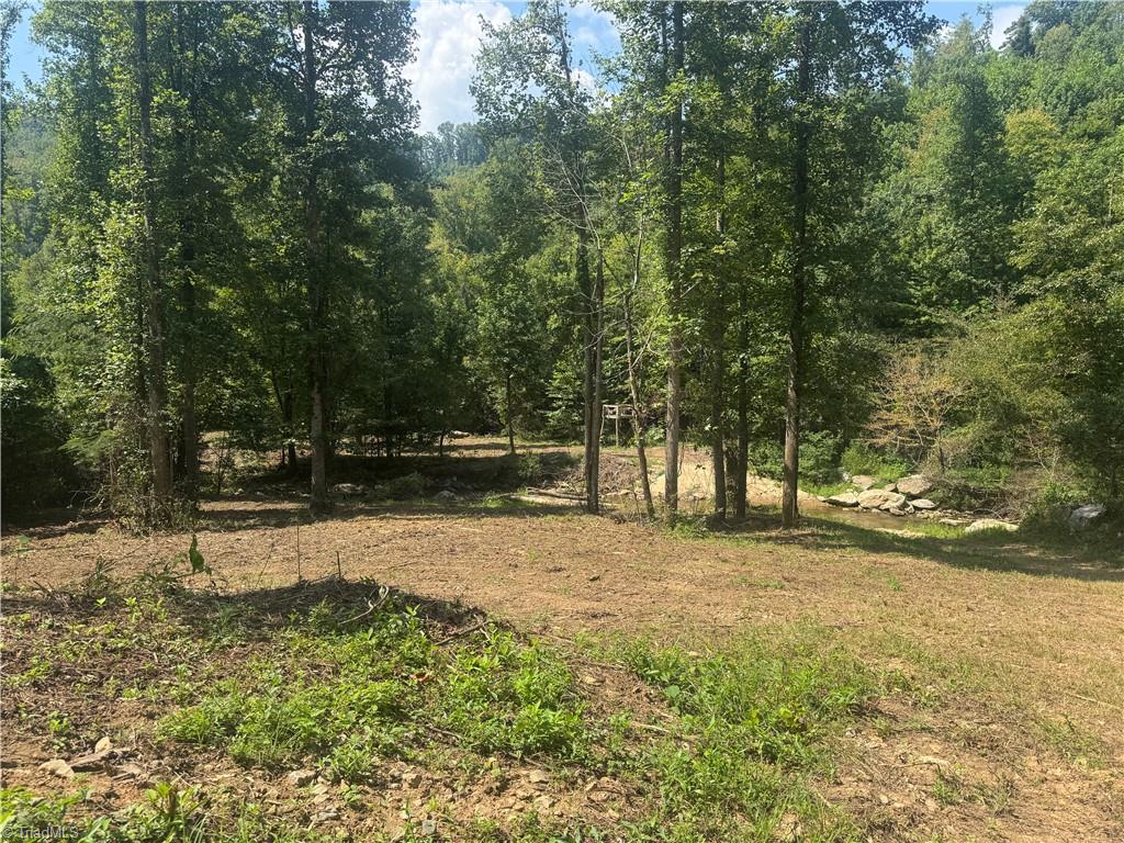 Tbd Stony Fork Road Ferguson, NC 28624 - Photo 4 of 14 Gallery Image 4