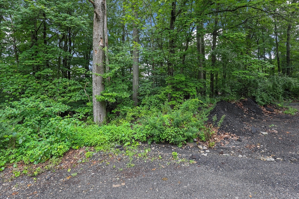 9 Beckland Street Worcester, MA 01607 - Photo 3 of 7 Gallery Image 3