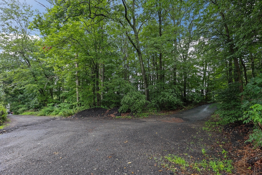 9 Beckland Street Worcester, MA 01607 - Photo 4 of 7 Gallery Image 4