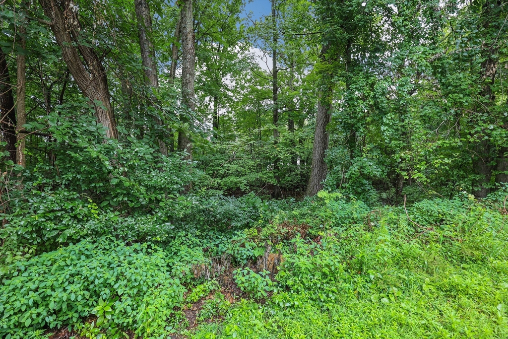 9 Beckland Street Worcester, MA 01607 - Photo 5 of 7 Gallery Image 5