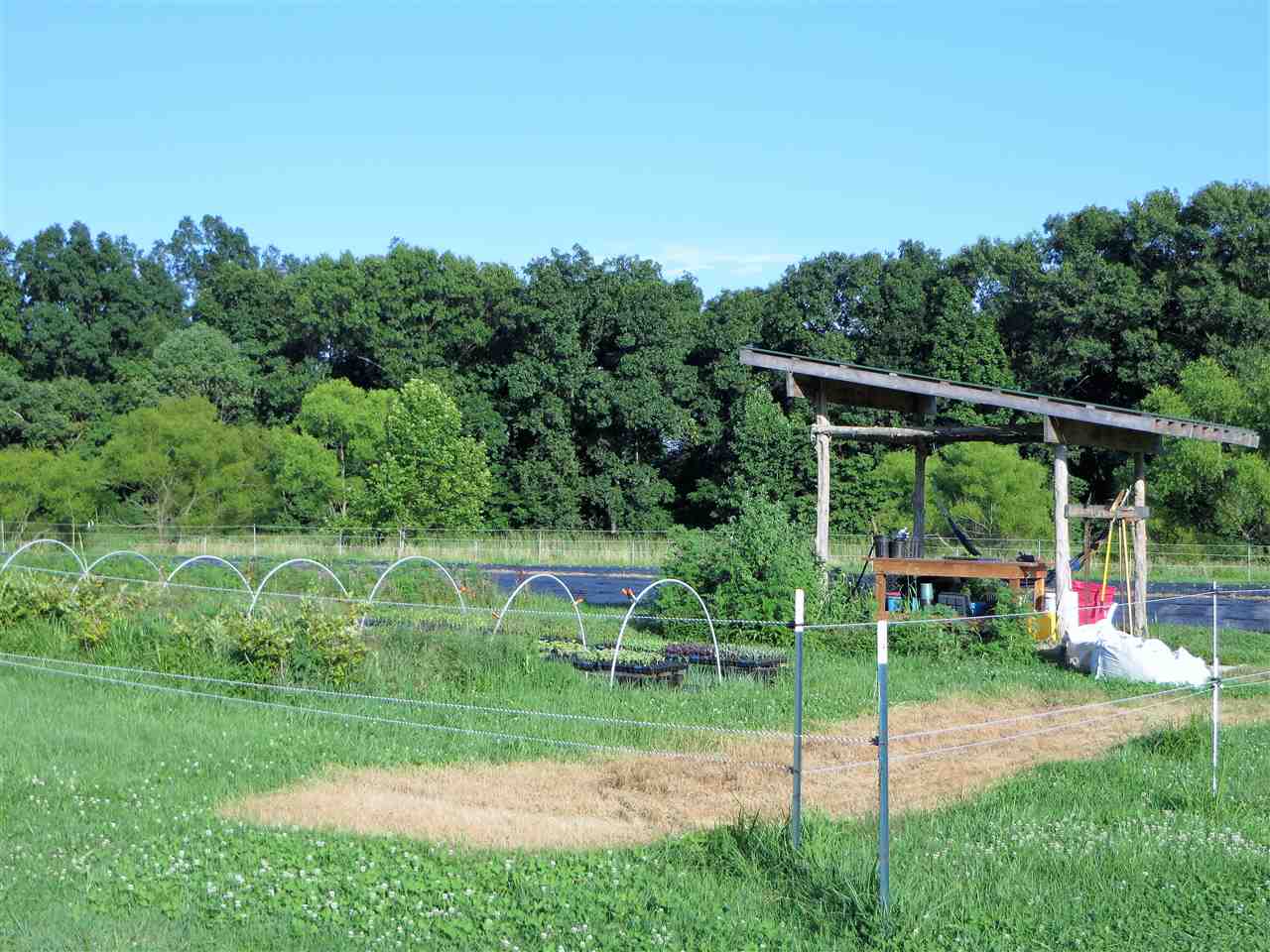 Gallery Image 7
