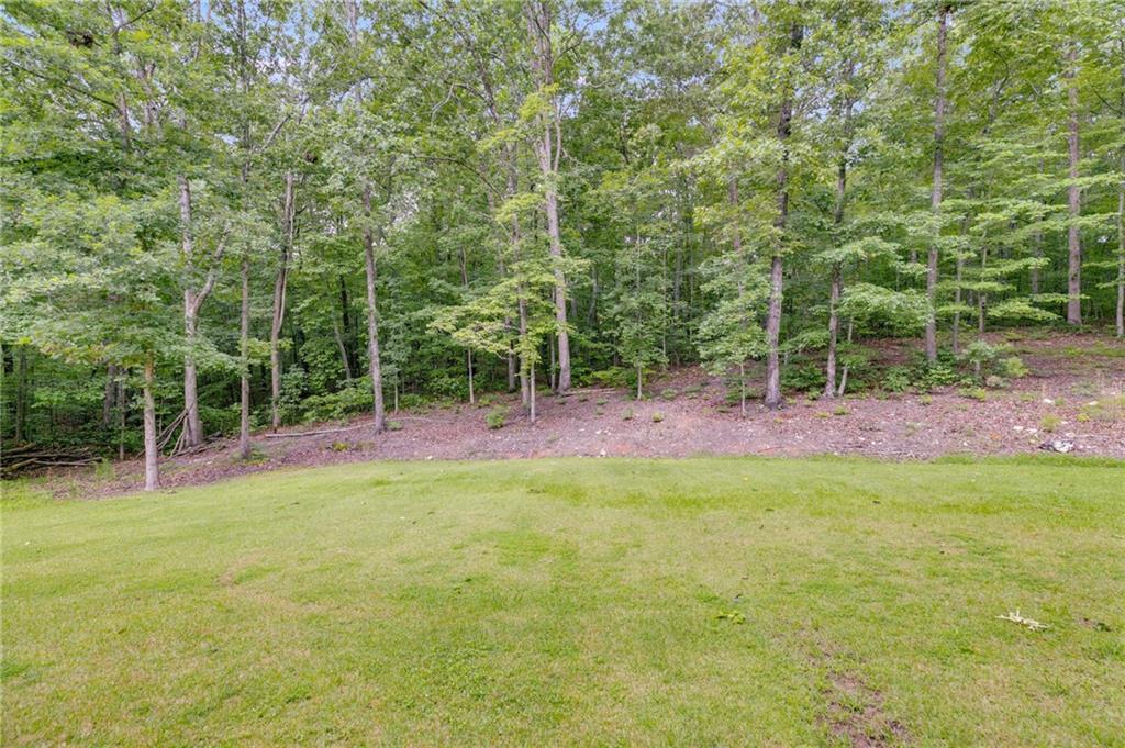 7269 Tyree Road Winston, GA 30187 - Photo 48 of 57