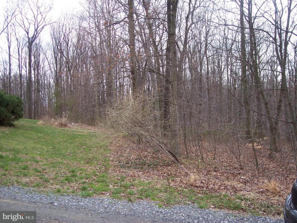 161 Timber Ridge Road Morgantown, PA 19543 - Photo 2 of 10 Gallery Image 2