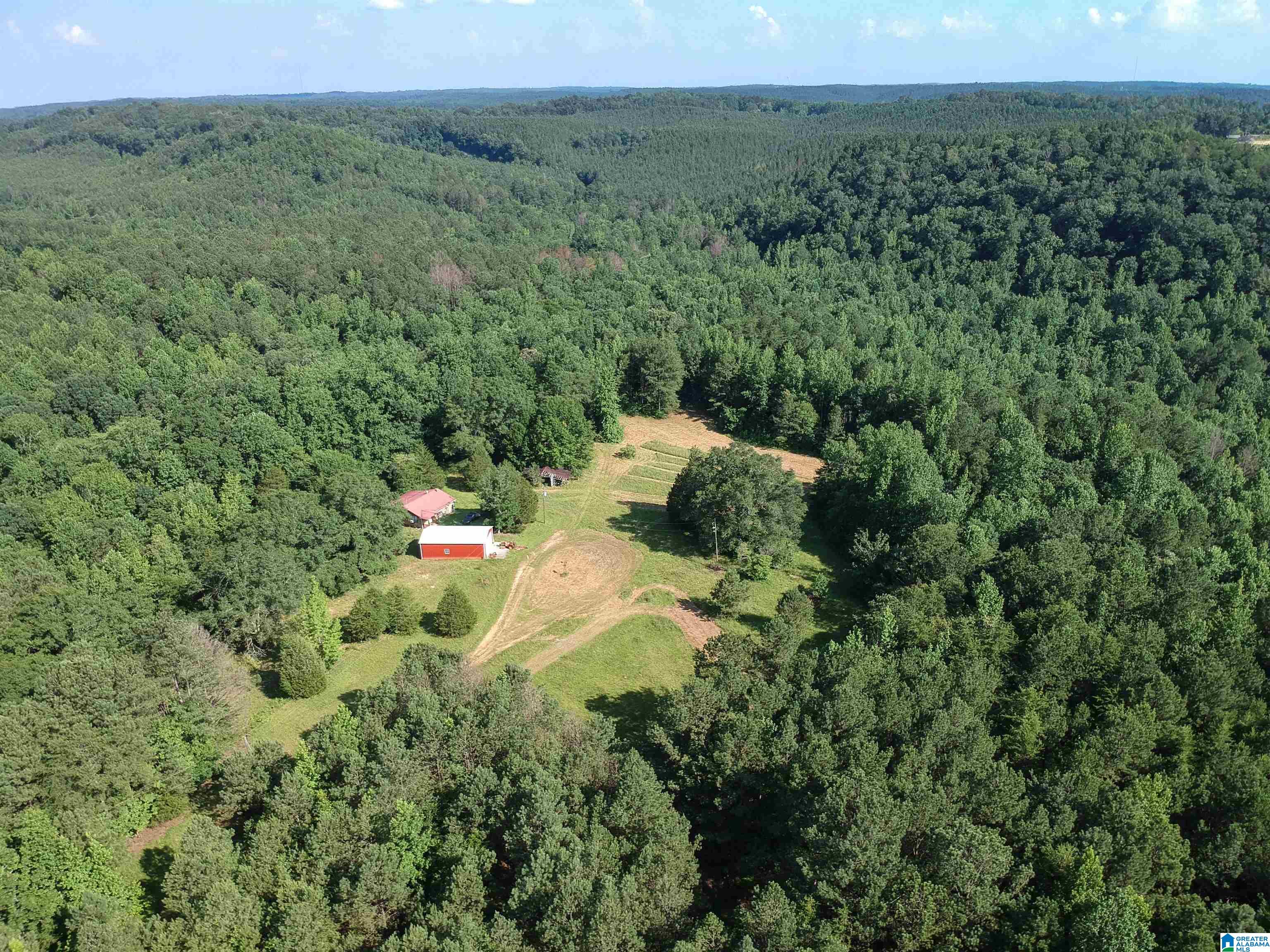 373 Myers Road Berry, AL 35546 - Photo 10 of 74