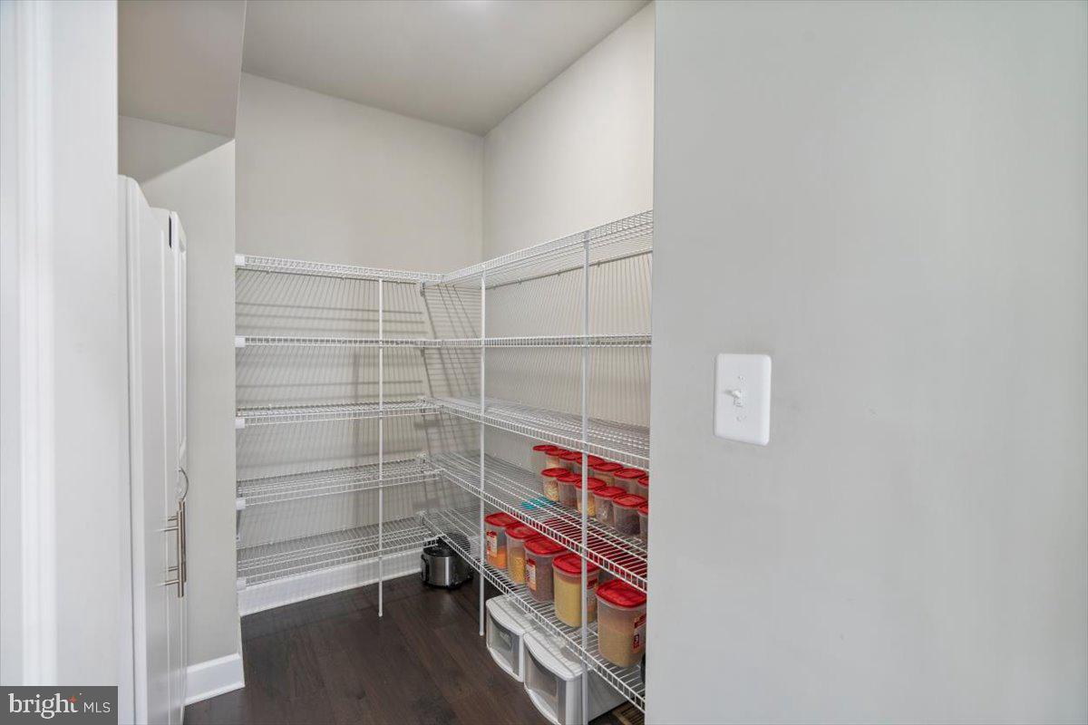 55 Ruthies Way Chalfont, PA 18914 - Photo 22 of 52 Massive walk in pantry