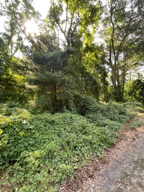 143 Wheeler Road Mashpee, MA 02649 - Photo 8 of 9 LOT