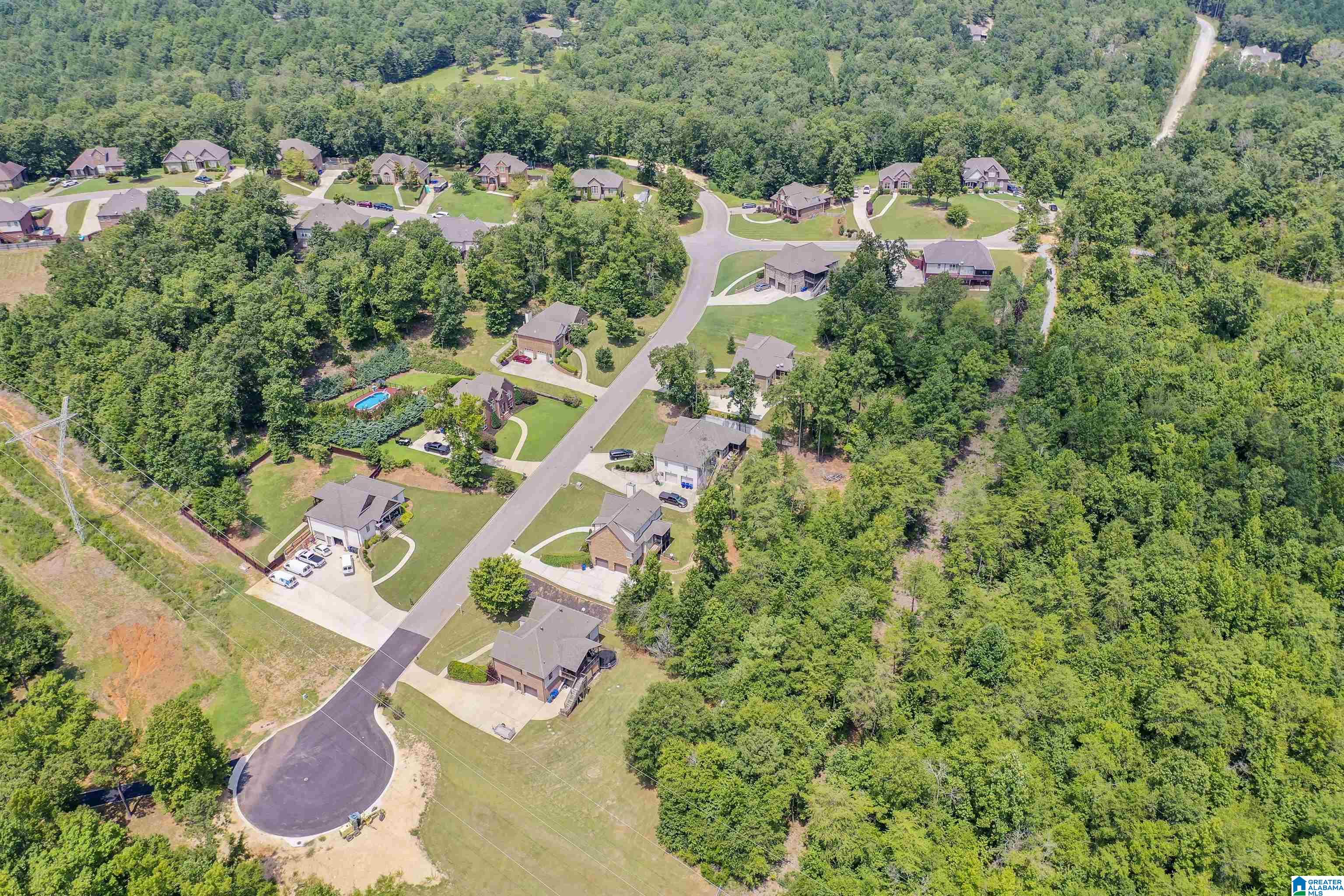 3025 Chelsea Ridge Trail Columbiana, AL 35051 - Photo 49 of 50