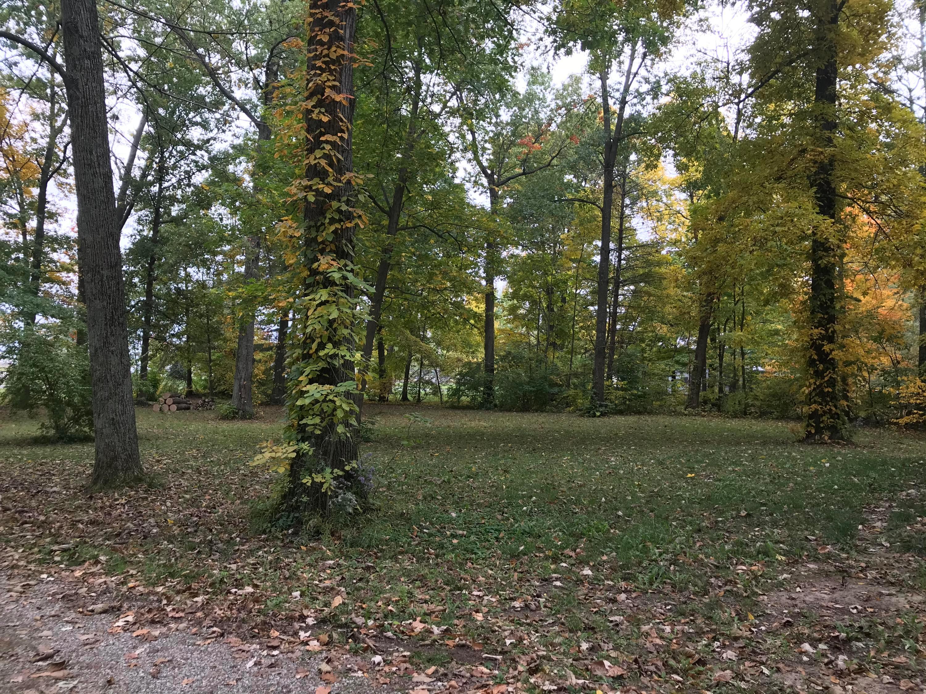 6401 Wheeler Road Delaware, OH 43015 - Photo 5 of 29
