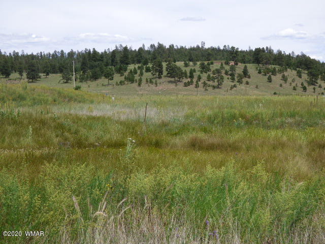Lot 4 The Ranch Alpine, AZ 85920 - Photo 20 of 25