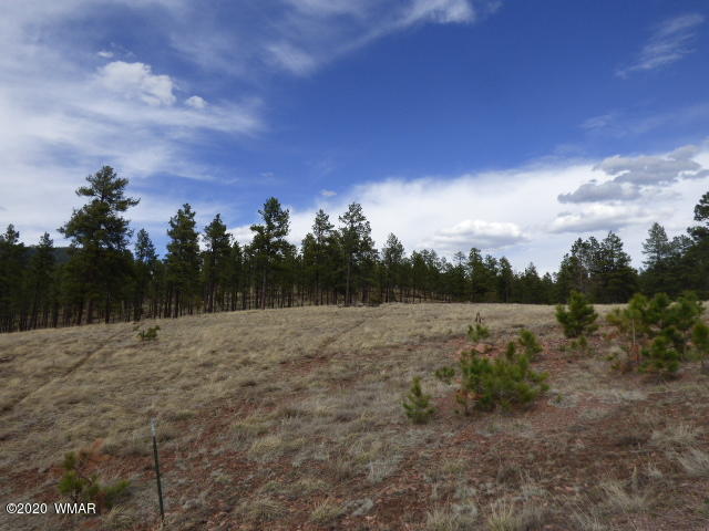 Lot 4 The Ranch Alpine, AZ 85920 - Photo 2 of 25