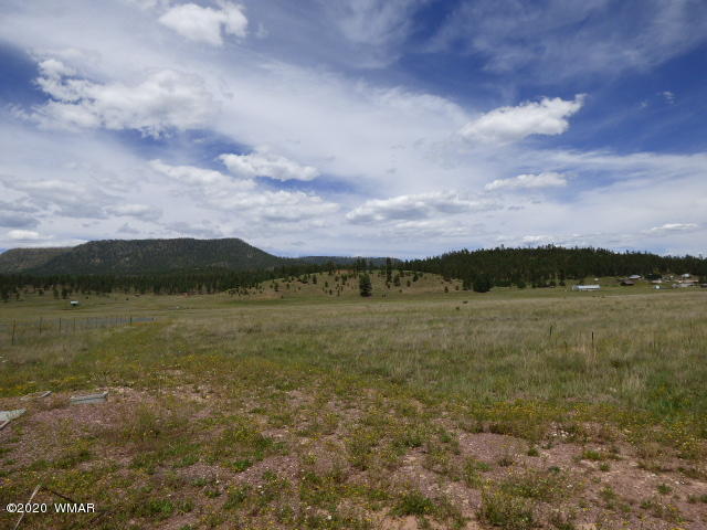 Lot 4 The Ranch Alpine, AZ 85920 - Photo 7 of 25