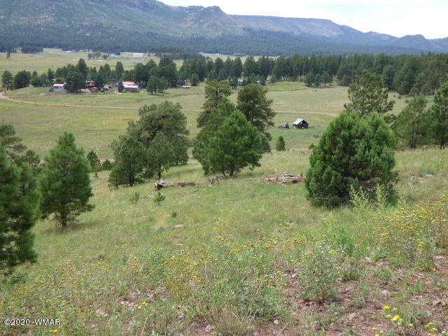 Lot 4 The Ranch Alpine, AZ 85920 - Photo 9 of 25