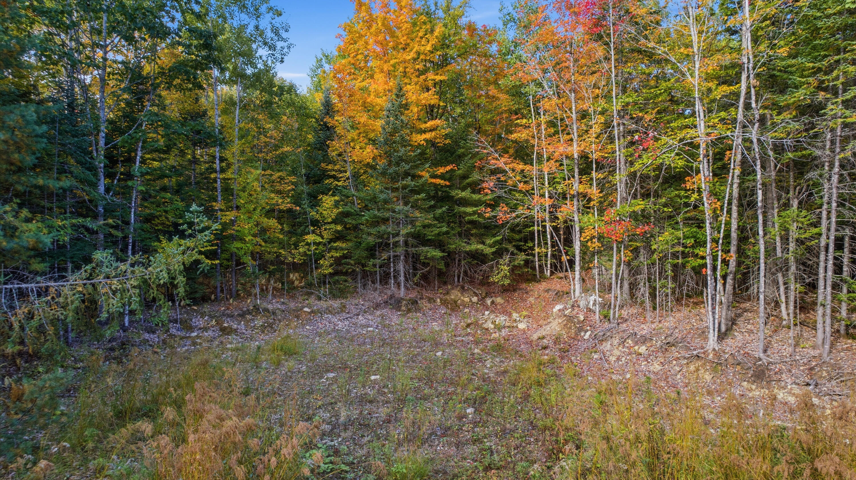 Lot 6 River Road Sumner, ME 04292 - Photo 19 of 39 Lot 6 River Sumner-19