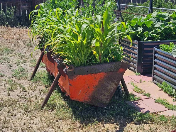 $258,000 | 5350 County Road 14, Antonito, CO 81120